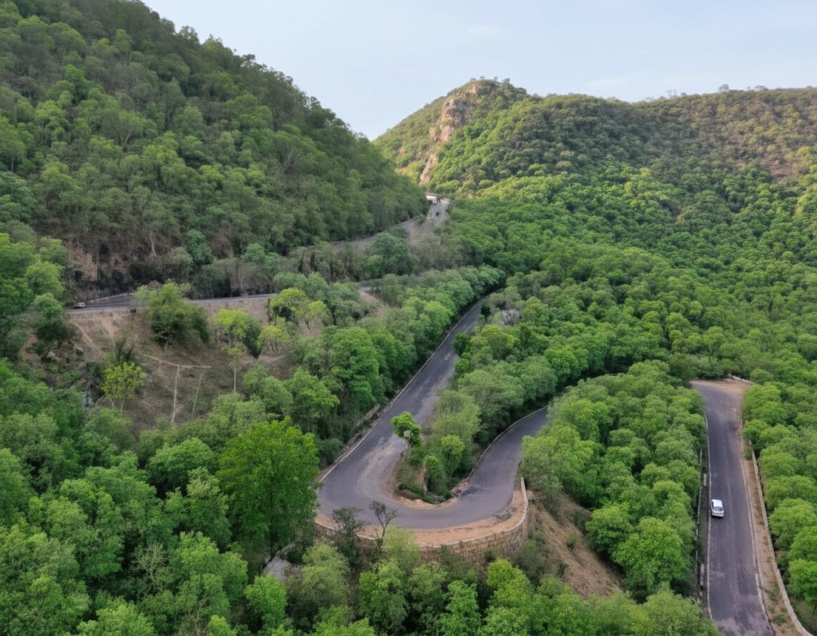 Sariska Tiger Reserve