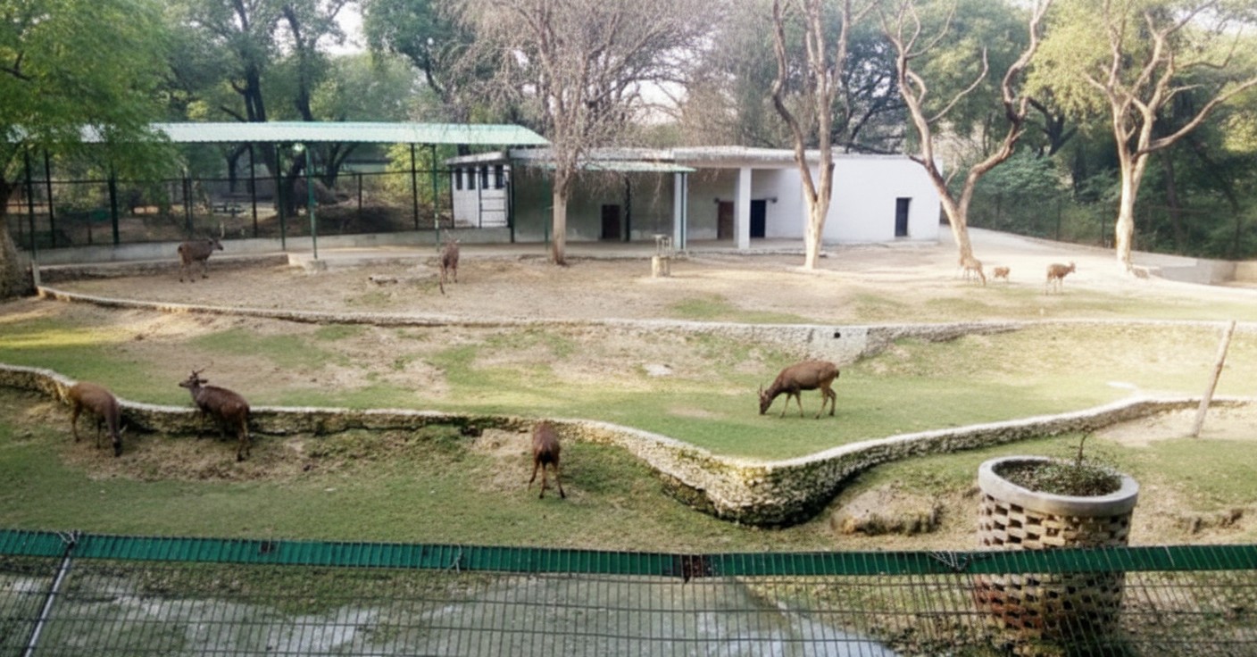 Allen Forest Zoo (Kanpur Zoological Park)