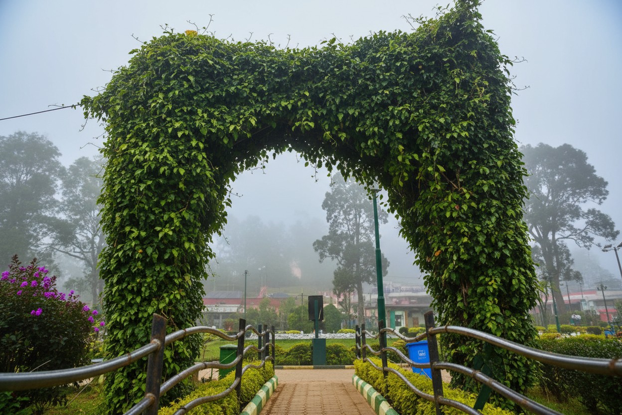 Coorg (Kodagu)
