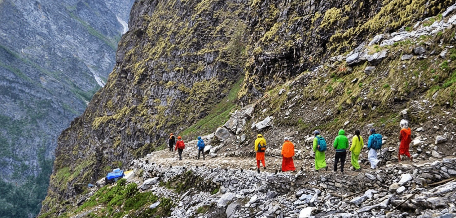 Valley of Flowers National Park