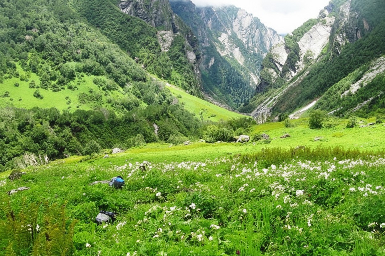 Valley of Flowers National Park