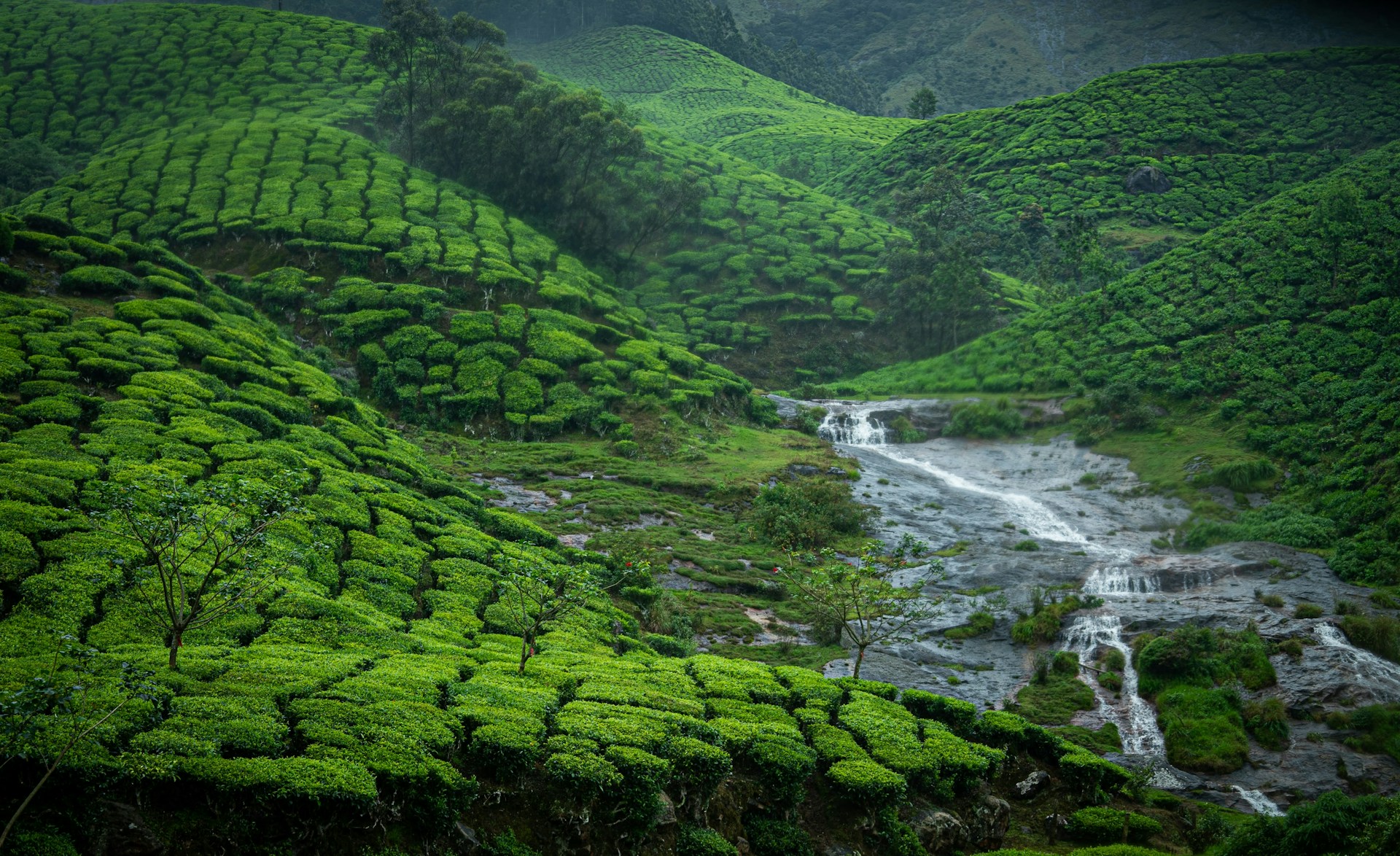 Munnar