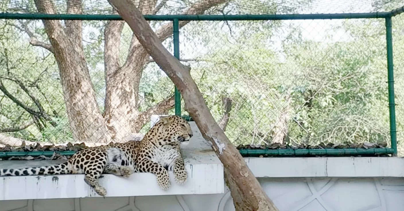 Allen Forest Zoo (Kanpur Zoological Park)