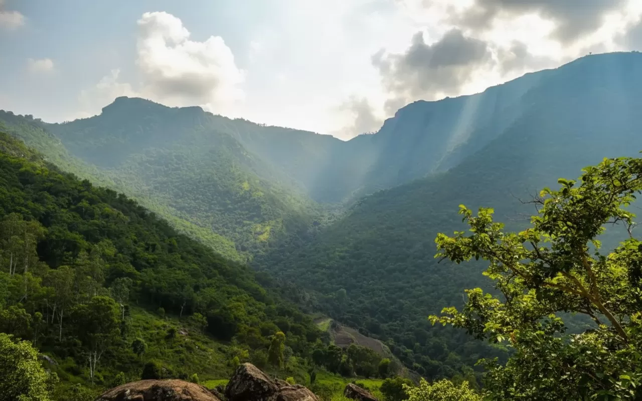 Bandipur National Park