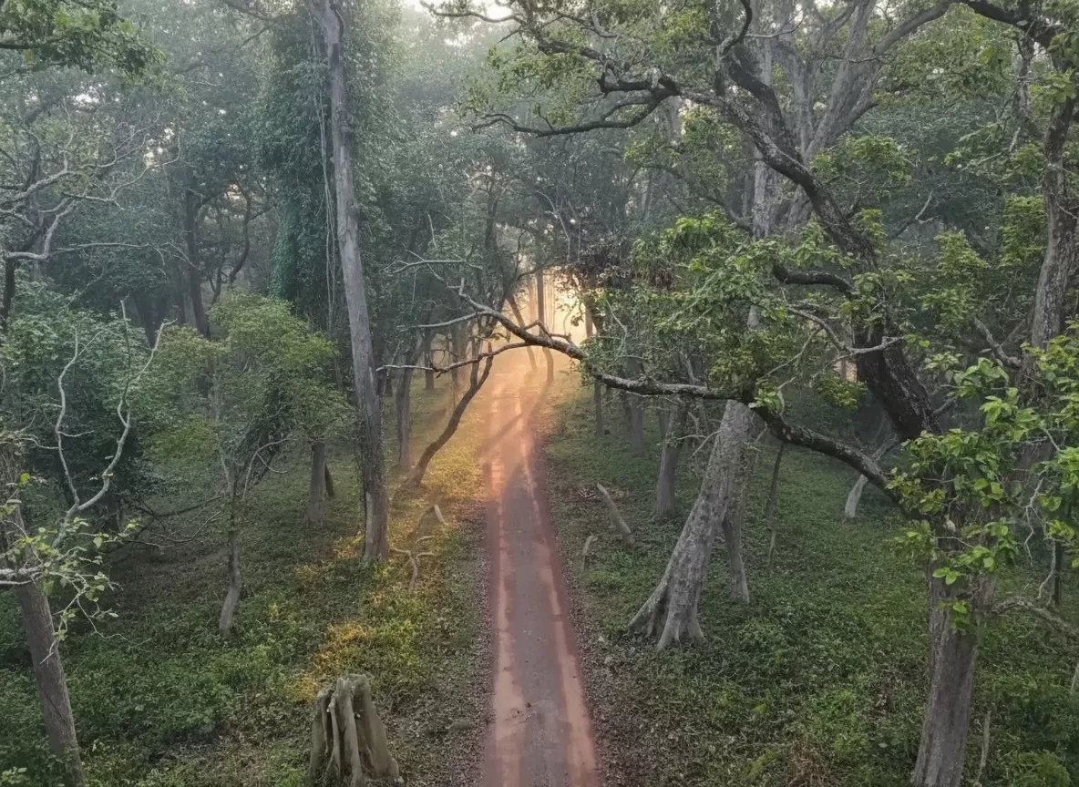 Dudhwa National Park