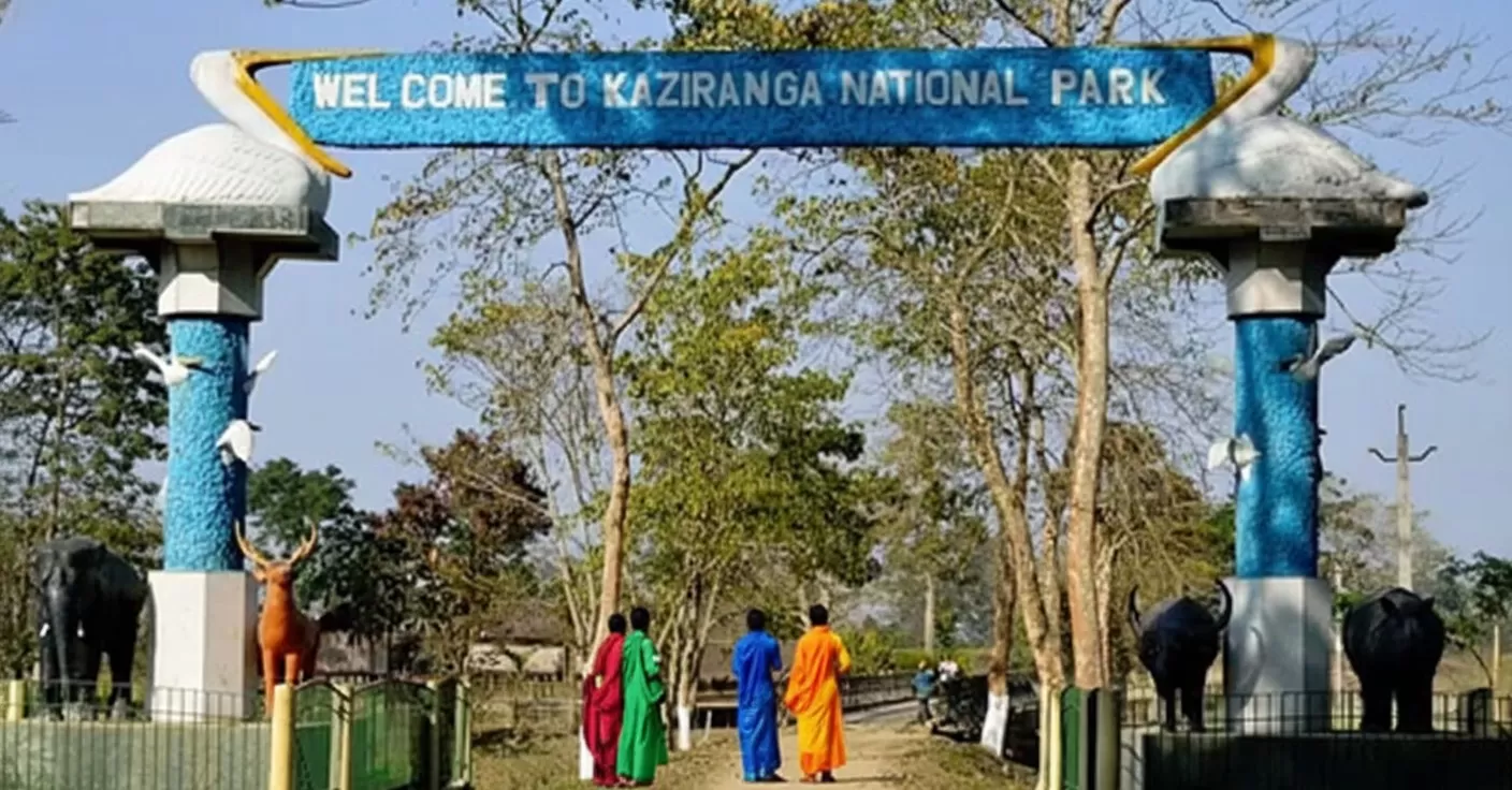काज़ीरंगा राष्ट्रीय उद्यान