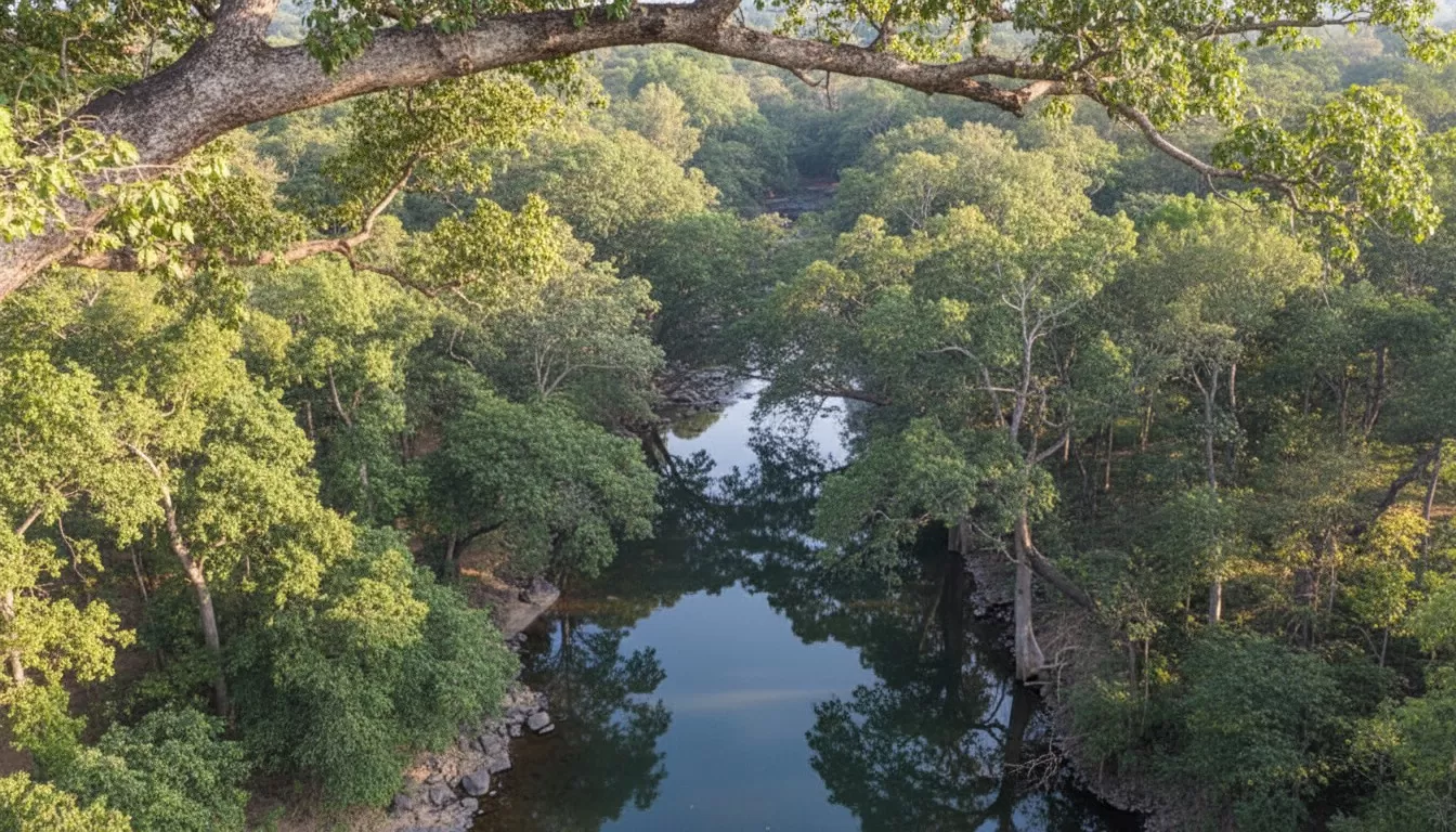 Melghat Tiger Reserve